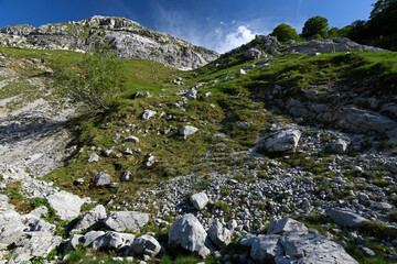 Fototapeta na wymiar Mountain panorama at Mount Smojan, Montenegro // Berg-Panorama am Smojan, Montenegro 