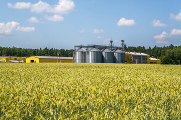 agro silos granary elevator on agro-processing manufacturing plant for processing drying cleaning and storage of agricultural products in rye or wheat field © hiv360