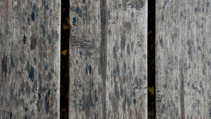 old gray wood texture for background with copy space