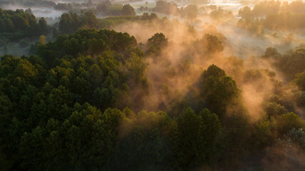 Sunrise in the fog over the oxbow lake of the Vistula River Poland