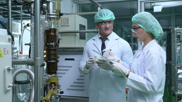 Scientists and assistants are in the machine room extracting oil and cannabis seeds. Inspecting cannabis oil extractor before starting to extract the prepared cannabis