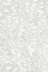 Light gray and white leaf background
