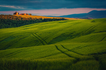Green grain fields and Vitaleta chapel at sunset, Tuscany, Italy