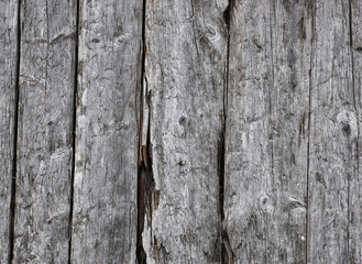 Fototapeta premium Old weathered plank as wall