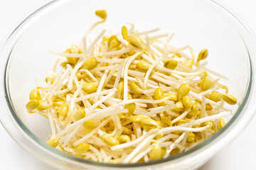 ナムルやスープにするとおいしい大豆もやし