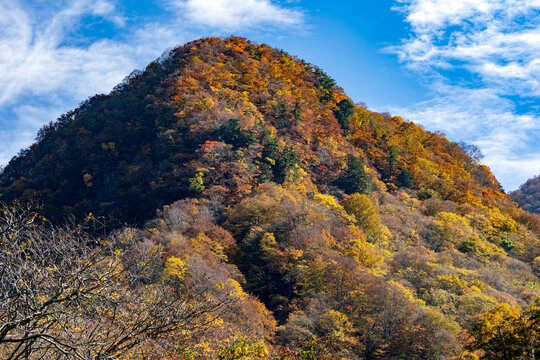 白山国立公園 Images – Browse 845 Stock Photos, Vectors, and Video