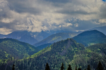 Fototapeta na wymiar Szczyty górskie w chmurach, bory, lasy i szlaki.
