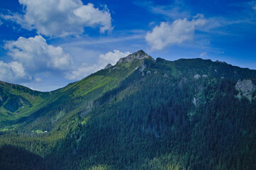 Szczyt górski, w kolorach zieleni oraz nieba, z porośniętym stokiem i lasem.