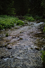 Górski potok, kamienie, woda, strumień płynący w Tatrach, Polskich Górach, Droga Zakopane - Morskie Oko.