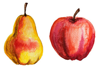 Hand drawn watercolor pear. Watercolor apple. Autumn fruits. Healthy food. Vitamins. Hand drawn watercolor autumn set of fruits. October. November. Season. Elements for creating decor. © Олена Кібець