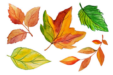 Painted watercolor autumn set. Sketch of leaves. Orange. Watercolor leaves. Autumn set. November. Elements for decor. Creation. Autumn. Set of autumn watercolor leaves.To create fabric pattern.