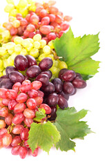 Red and white table grapes, wine grapes.