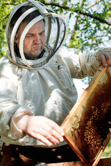 Beekeeper on apiary. Beekeeper is working with bees and beehives on the apiary.