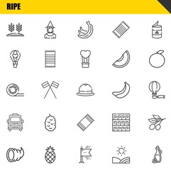 ripe vector line icons set. wheat, cornucopia and tape Icons. Thin line design. Modern outline graphic elements, simple stroke symbols stock illustration
