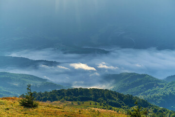 Morning mountain landscape. White fog in the valley. The beauty of the Carpathian mountains
