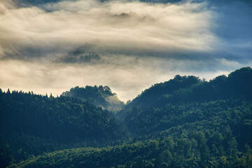 Morning mountain landscape. White fog in the valley. The beauty of the Carpathian mountains