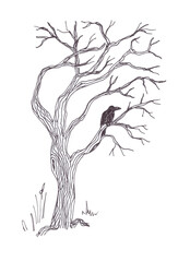 Black and white illustration of leafless tree and raven isolated on white background