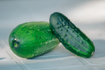 organic cucumbers on white background