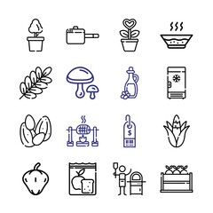 vegetable Icon Set with line icons. Modern Thin Line Style. Suitable for Web and Mobile Icon. Vector illustration EPS 10.