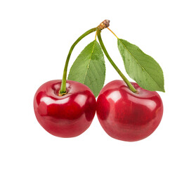 Cherry isolated on white background with clipping path
