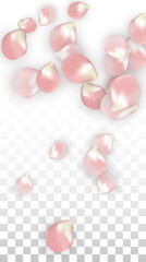 Pink Vector Realistic Petals Falling on Transparent Background.  Spring Romantic Flowers Illustration. Flying Petals. Sakura Spa Design. Blossom Confetti. Design Elements for Wedding Decoration.