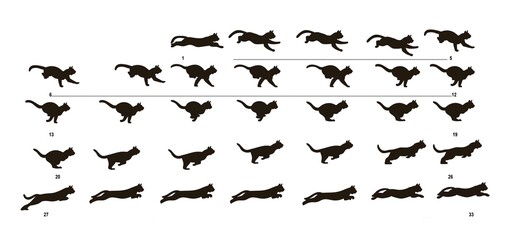 Image sequence of Cat running for Animation.