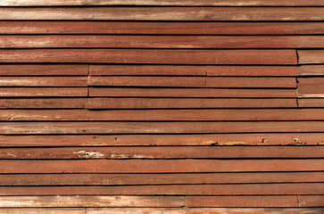 Obraz premium Close-up bright wood texture. Old wood surface with abstract texture motif