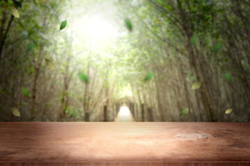 Wooden terrace over the trees, forest and leaves. Can Be Used For Display.