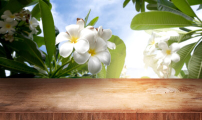 Wooden terrace over the Frangipani tree - Can Be Used For Display