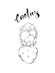 Silhouette of a cactus with an inscription on a white background, sketch drawing.