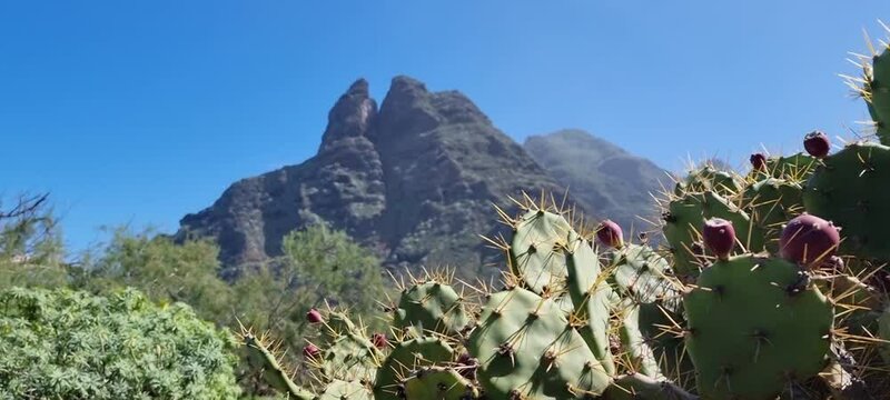 vista al roque Dos Hermanos en punta del Hidalgo, Tenerife.