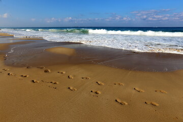 Mediterranean coast in northern Israel