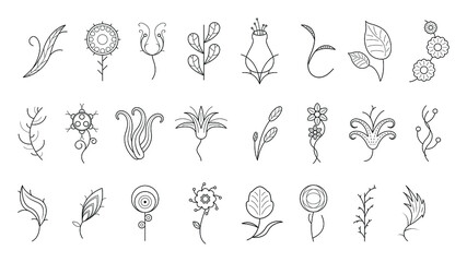 Big Abstract Set Doodle Elements Hand Drawn Collection Botanic Herbal Flora Leaf Branch Vine Flower Plant Elements F Vector Desgin Style