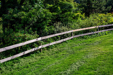 pasture for artiodactyla on a green lawn with a barrier in the form of a wooden fence made of boards, mowed grass for livestock in the background trees with bushes on a sunny summer day, nobody. © Александр Беспалый