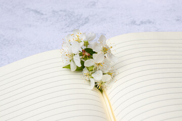 Open notebook with blank paper lined pages and cherry blossom flowers on white table background. Spring, summer memories, girl's diary. Top view, flat lay, copy space, close up