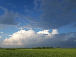 field and sky
