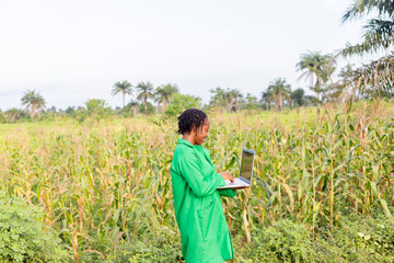 side view of an excited black Female farm agronomist checking an agricultural field using laptop