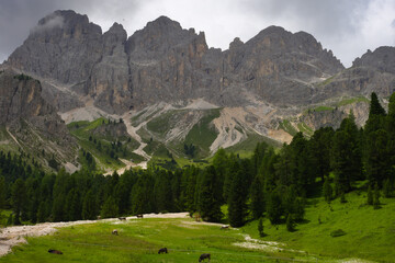 Fassa Valley, Italy, alpine landscape on Dolomites