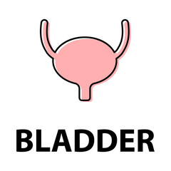Urology health human icon, anatomy medical body bladder sign, biology vector illustration