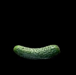 one ripe cucumber on black background