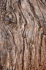 Weathered wooden beam