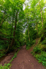 The Dragon Gorge in the Thuringian Forest