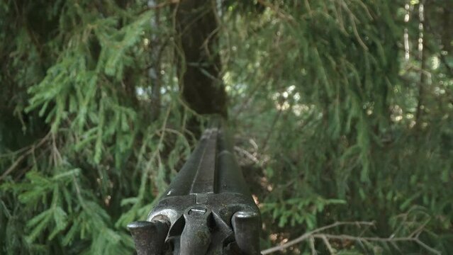 A rifle gun pointing into the woods looking for a target in Estonia