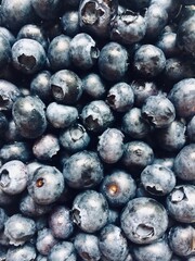 blueberries close up