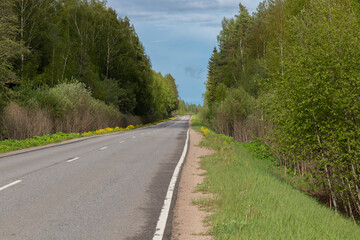 A shot from wayside of an empty road in a forest against the sky by summer day