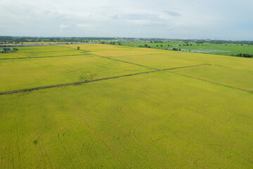 field background, top view landscape, nature