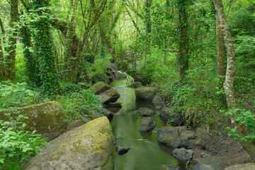 Landscape beautiful stream with round rocks in the forest at the time of spring in brittany france