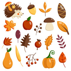 Set of autumn elements. Vector flat collection of autumn leaves and forest icons. Autumn foliage, hedgehog, pumpkin, acorn, mountain ash, maple.
