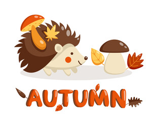 Vector flat illustration of hedgehog and mushroom in autumn. Cute baby hedgehog character.
