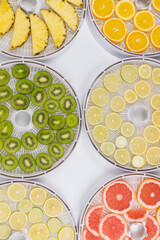close-up, on a white table, in round grids, sliced fresh fruit, kiwi, grapefruit, orange, pineapple, lemon and lime, for further drying, top view